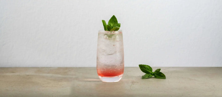 Watermelon and Basil Gin Fizz