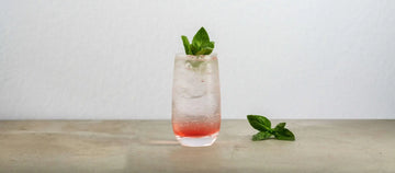 Watermelon and Basil Gin Fizz