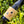 Load image into Gallery viewer, Beresford Emblem 'Blewitt Springs' Grillo, 750ml
