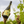 Load image into Gallery viewer, Beresford Emblem Fiano, 750ml
